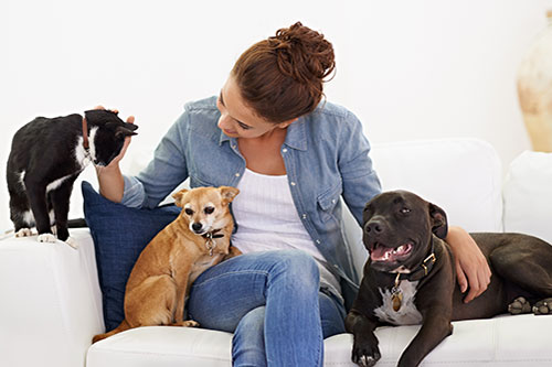Showcase your Pet Sitting business to local Kelowna area customers.