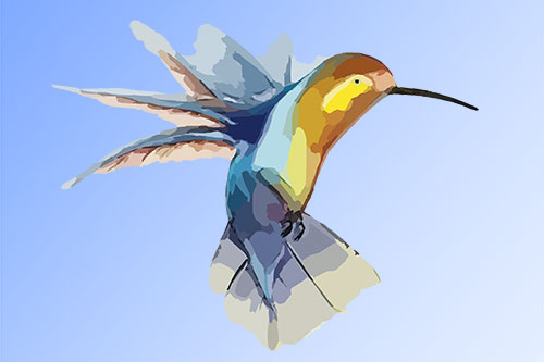 Showcase your Kelowna and surrounding locations Visual Arts services to local customers.