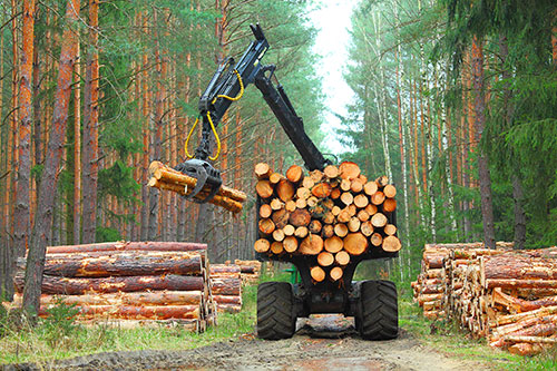 Showcase your forestry construction business to Kelowna and surrounding area customers.