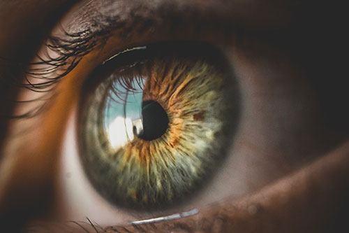 Showcase your Eye Care services local Kelowna area customers.