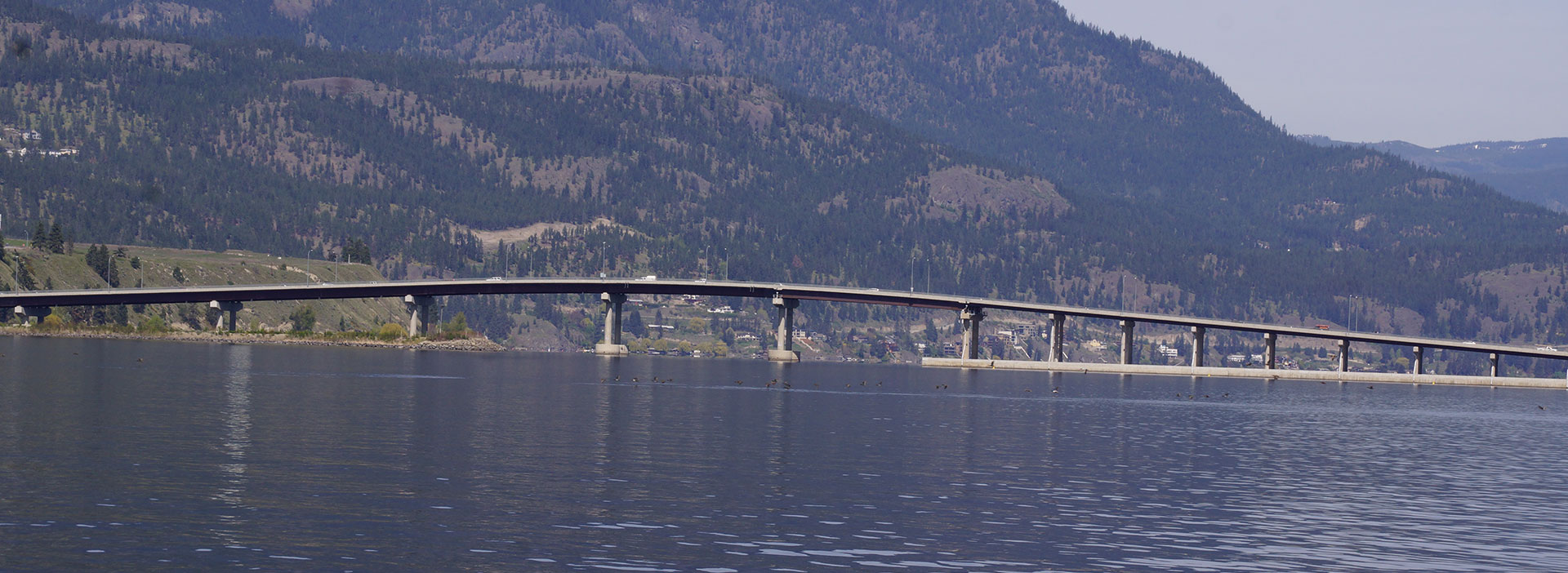 Connect Kelowna is a low cost online business directory forcusing on Kelowna, West Kelowna and surrounding locations to bring businesses and consumers together.